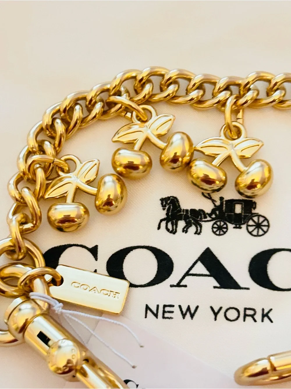 Coach Cherries Swag Bag Charm